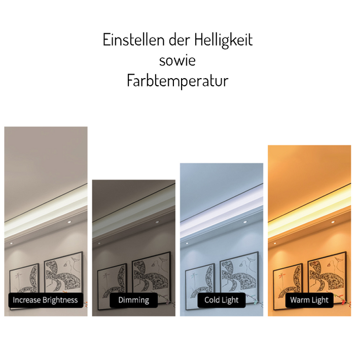 LED-Stripe 1-farben-Controller Empfänger